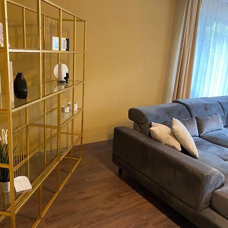 1001 Large Modern Design