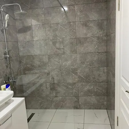 1001 Large Modern Design