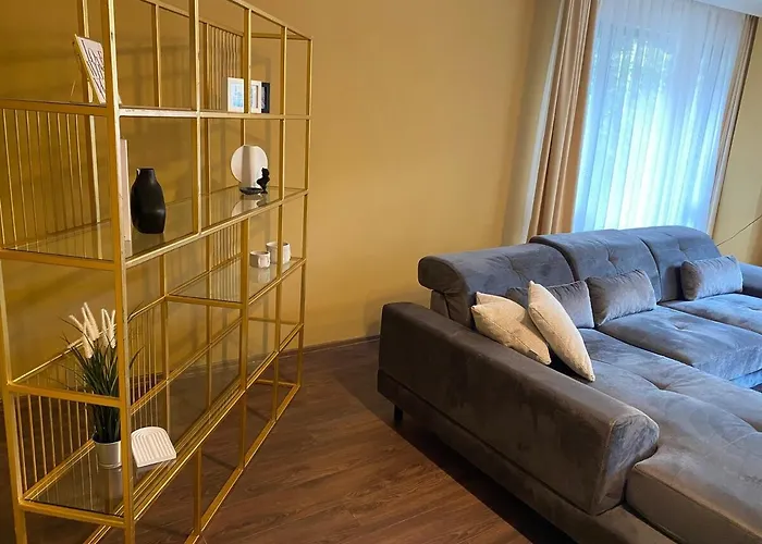 1001 Large Modern Design