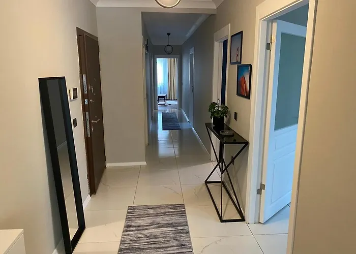 1001 Large Modern Design