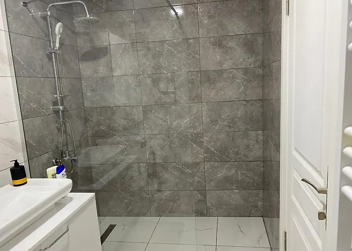 1001 Large Modern Design