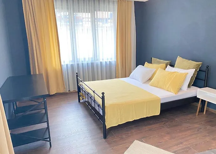 1001 Large Modern Design *