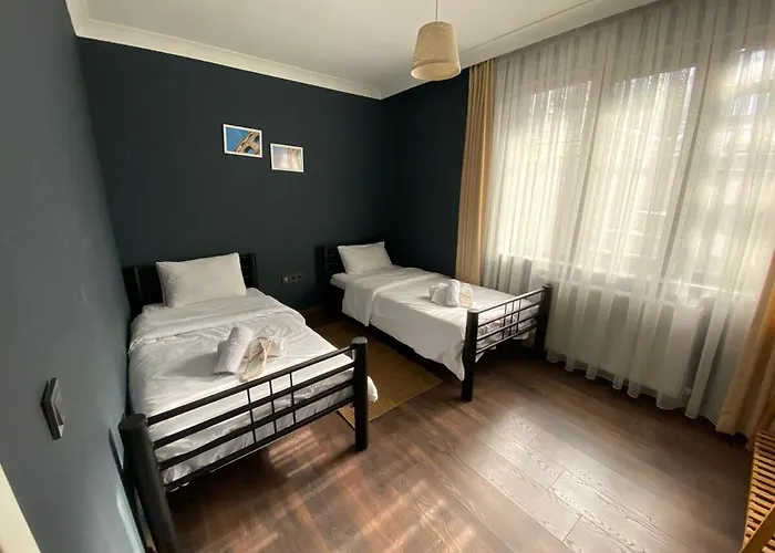 1001 Large Modern Design