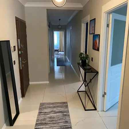 1001 Large Modern Design