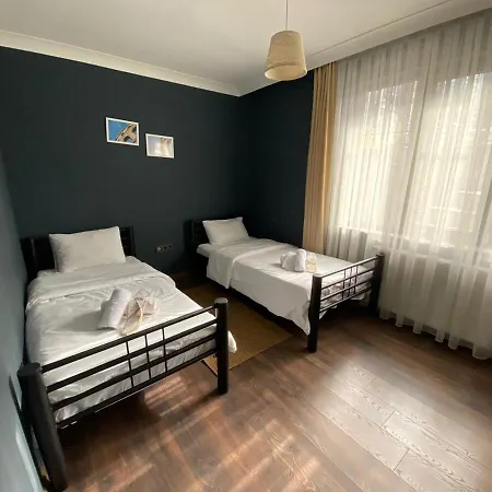 1001 Large Modern Design